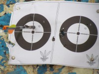 метание ножей, ,September 19, 2015 in the village of Sapegino (Moscow region, Volokolamsk district) held a friendly tournament of a throwing various objects. The program of events included throwing a knife, an ax and a shovel 3 + 4 + 5 meters, no-spin throwing 4 meters, throwing unusual objects - the giant nails, plates and unusual knives, exercise 