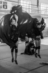 метание ножей, ,16-17 April 2016 in Volgograd was held the 2nd stage of the Russian Cup on sports knife throwing. In a very interesting and equal fight came together throwers from Moscow, St. Petersburg, Izhevsk, Nizhny Novgorod, Kazan, Samara, Volgograd and Kamyshin. Some views of the Volgograd and competition can transfer beautiful photos from Anna Kortunova. 