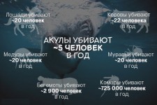 метание ножей, ,Пока старый альбом восстанавливается, сделаю новый 
