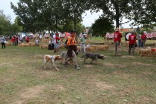 метание ножей, ,On September 1-3, in the small village of Alsomocsolad, Hungary hosted the European Championship 2017, according to the European Knife thrower Association. This large-scale tournament was attended by more than 150 throwers from different countries. Photos from Yuri Sokolov 