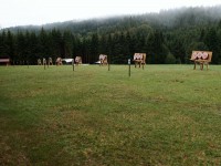 метание ножей, ,Фотографии с чемпионата Европы по версии Европейской ассоциации метателей.
Сентябрь 2011.
Herrischrierd, Германия 