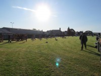 метание ножей, ,23-25 августа во французском городе Каллак прошел первый чемпионат мира по версии Европейской ассоциации метателей ножей. Это был настоящий праздник метания - съехалось более 150 участников. На центральном стадионе города стояло 12 стендов для основных упражнений и еще столько же для дополнительных. Финалы проходили в присутствии более 500 зрителей. Прекрасно организованное пространство, где и участники и зрители чувствовали себя свободно и комфортно.
Большое спасибо организаторам! 