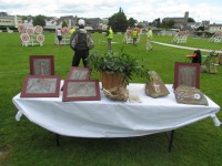 метание ножей, ,23-25 августа во французском городе Каллак прошел первый чемпионат мира по версии Европейской ассоциации метателей ножей. Это был настоящий праздник метания - съехалось более 150 участников. На центральном стадионе города стояло 12 стендов для основных упражнений и еще столько же для дополнительных. Финалы проходили в присутствии более 500 зрителей. Прекрасно организованное пространство, где и участники и зрители чувствовали себя свободно и комфортно.
Большое спасибо организаторам! 