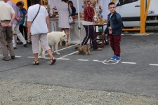 метание ножей, ,Фотографии с чемпионата мира в Каллаке, Франция, 2014 